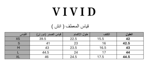 ⁦CT B2⁩ - الصورة ⁦4⁩