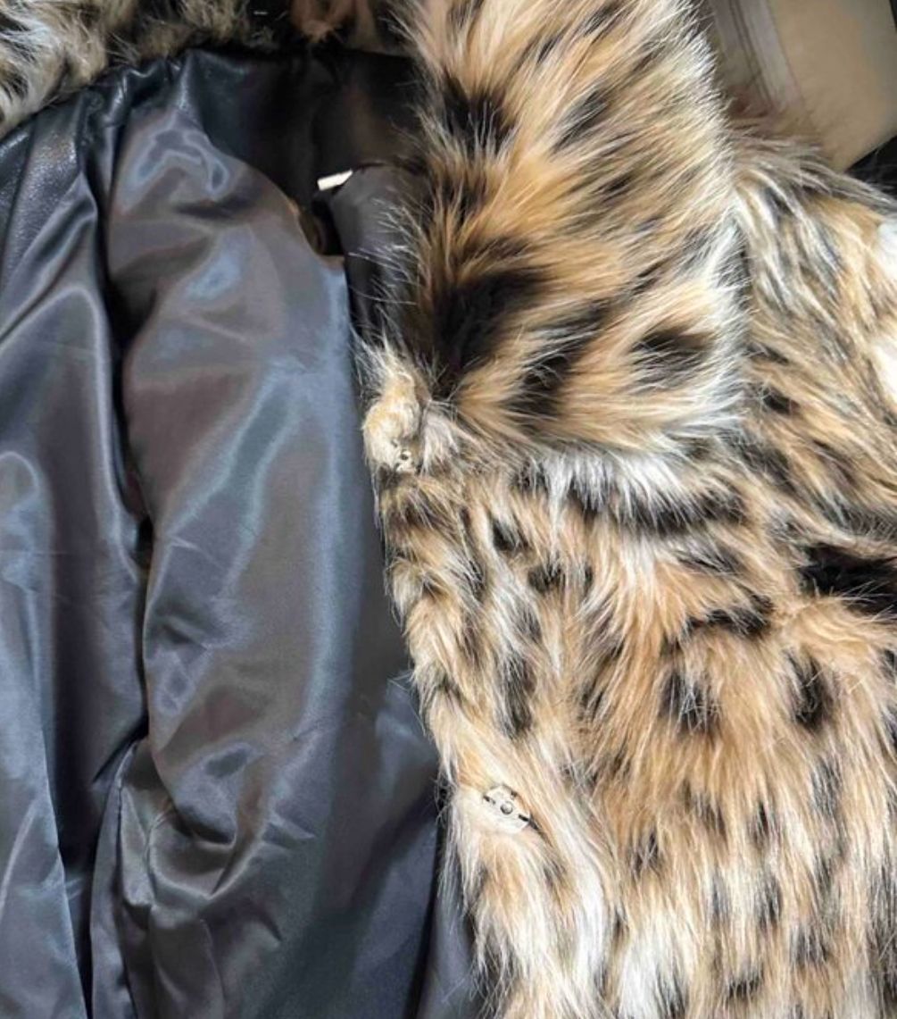 CT C6 - الصورة 4