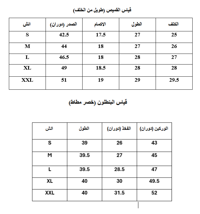 SMR E8 - الصورة 6